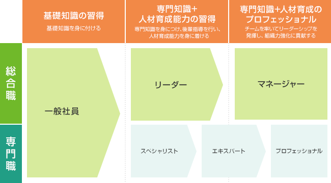 基礎知識の習得 基礎知識を身に付ける 一般社員：総合職 専門職 専門知識＋人材育成能力の習得 専門知識を身につけ、後輩指導を行い、人材育成能力を身に着ける 総合職：リーダー 専門職：スペシャリスト エキスパート 専門知識＋人材育成のプロフェッショナル チームを率いてリーダーシップを発揮し、組織力強化に貢献する 総合職：マネージャー 専門職：エキスパート プロフェッショナル